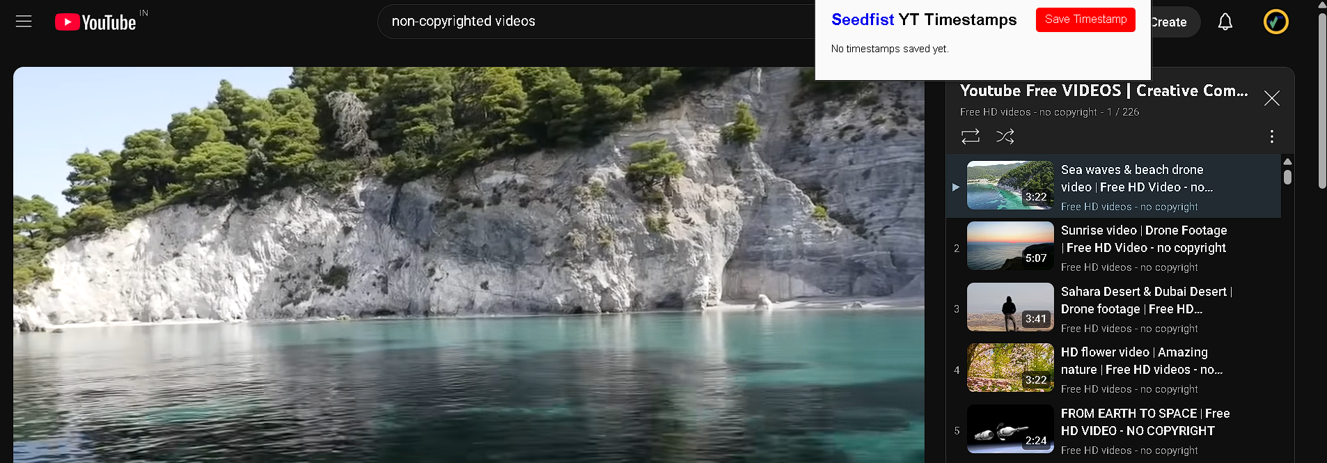 Youtube Timestamp Saver Chrome Extension | Opening View